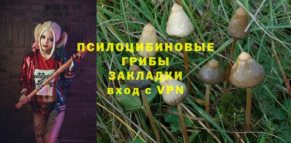 тгк Кулебаки