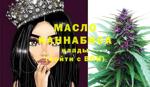индика Краснотурьинск