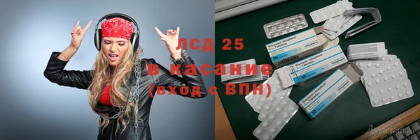 индика Краснотурьинск