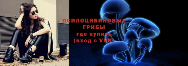 индика Краснотурьинск