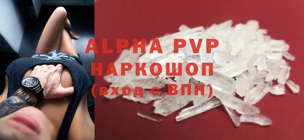 индика Краснотурьинск
