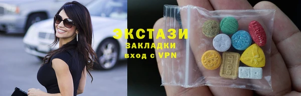 индика Краснотурьинск