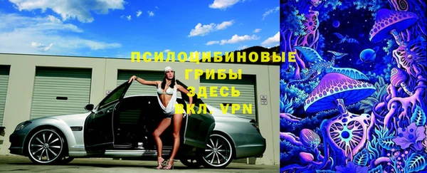 тгк Кулебаки