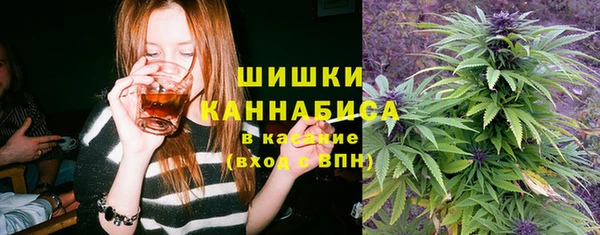 шишки Коряжма