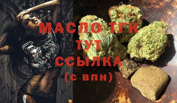 индика Краснотурьинск