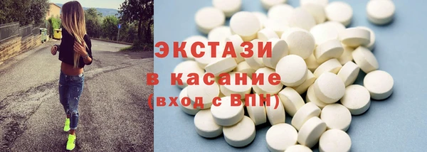 индика Краснотурьинск